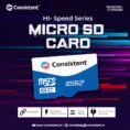 256_gb_micro_sd_copy