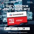 256_servillance_micro_sd_card_copy