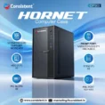 hornetcabinet.jpg_1